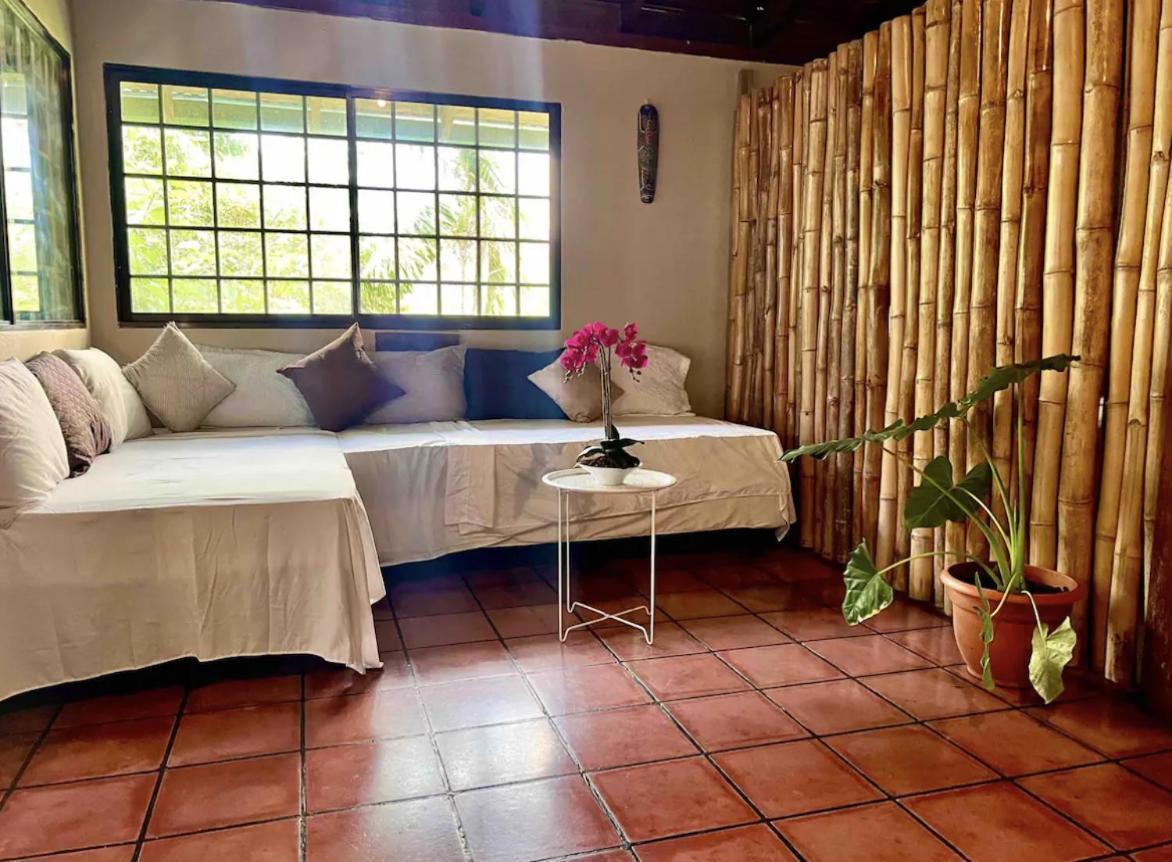 Mizaru Ocean View Hotel Manuel Antonio Quepos Ngoại thất bức ảnh