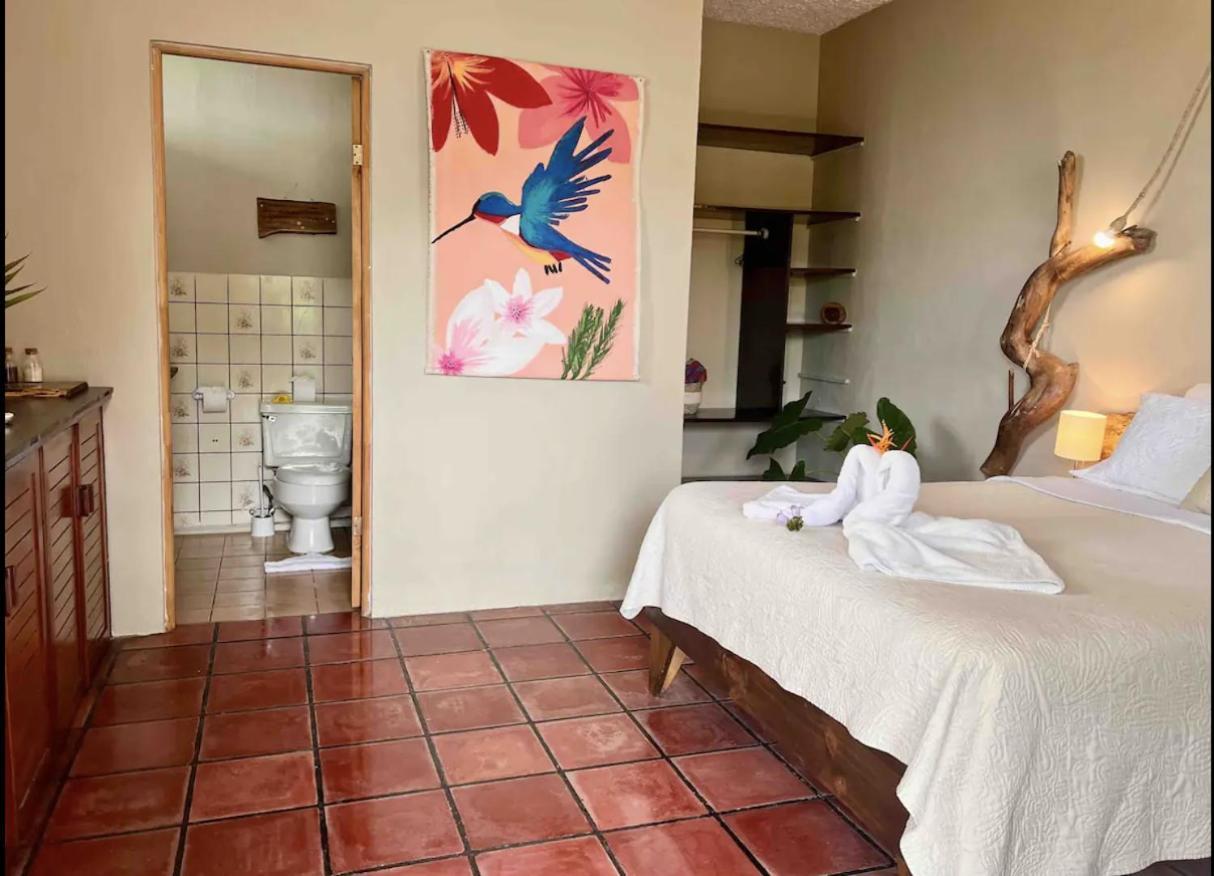 Mizaru Ocean View Hotel Manuel Antonio Quepos Ngoại thất bức ảnh