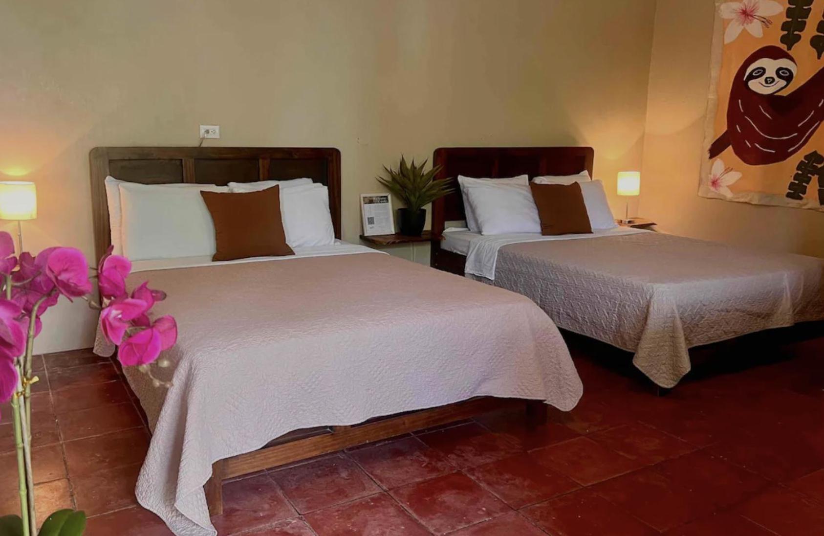 Mizaru Ocean View Hotel Manuel Antonio Quepos Ngoại thất bức ảnh